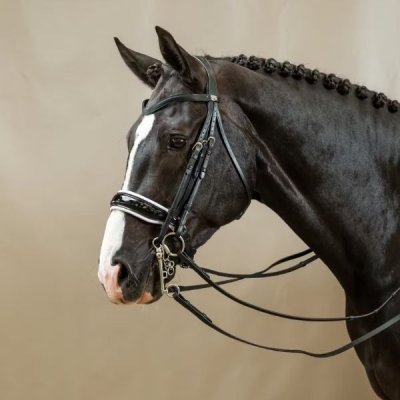 Dy'on Working Collection Patent Large Crank Noseband With White Padding Double Bridle - Image 2