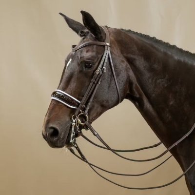 Dy'on Working Collection Patent Large Crank Noseband With White Padding Double Bridle - Image 3