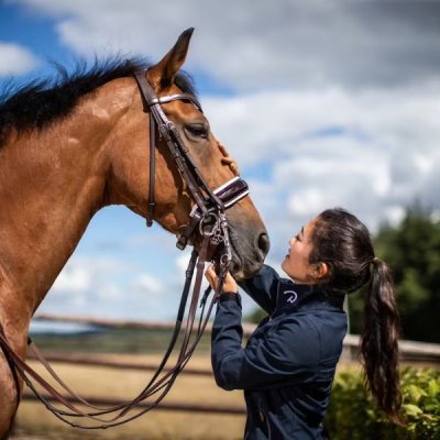 Dy'on Working Collection Patent Large Crank Noseband With White Padding Double Bridle - Image 4
