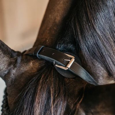 Dy'on Working Collection Plaited Training Bridle - Image 2