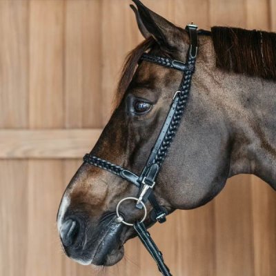Dy'on Working Collection Plaited Training Bridle - Image 3