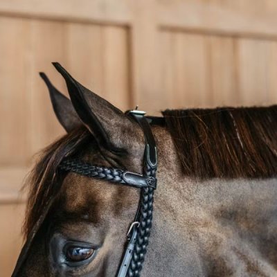 Dy'on Working Collection Plaited Training Bridle - Image 4
