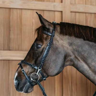 Dy'on Working Collection Plaited Training Bridle - Image 5