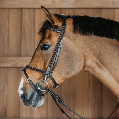 Dy'on Working Collection Plaited Training Bridle - Image 6