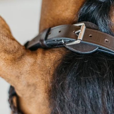 Dy'on Working Collection Plaited Training Bridle - Image 7