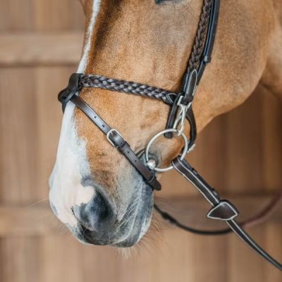 Dy'on Working Collection Plaited Training Bridle - Image 8