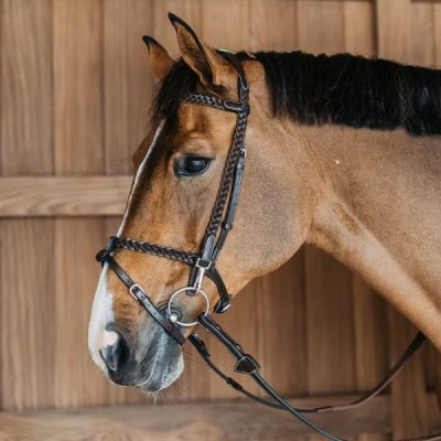 Dy'on Working Collection Plaited Training Bridle - Image 9