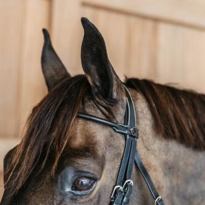 Dy'on Working Collection Round Leather Bridle - Image 2