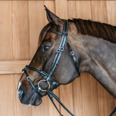 Dy'on Working Collection Round Leather Bridle - Image 4