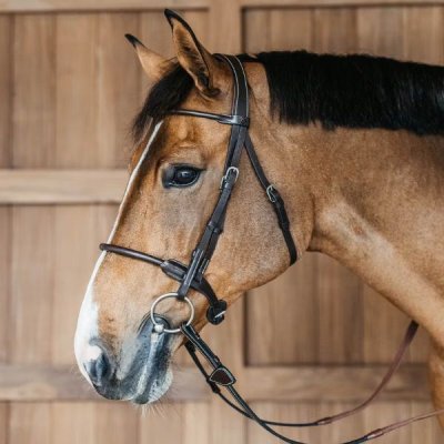 Dy'on Working Collection Round Leather Bridle - Image 5