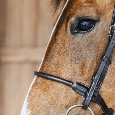 Dy'on Working Collection Round Leather Bridle - Image 6