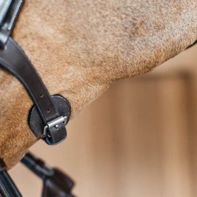 Dy'on Working Collection Round Leather Bridle - Image 7