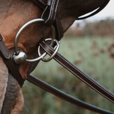 Dy'on Working Collection Rubber Reins 1/2" with 7 Leather Stops Ring Closure - Image 5