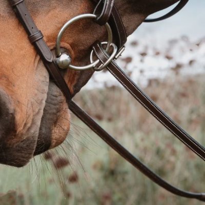 Dy'on Working Collection Rubber Reins 1/2" with 7 Leather Stops Ring Closure - Image 2