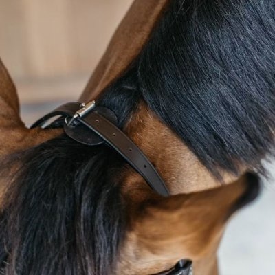 Dy'on Working Collection Training Bridle - Image 7
