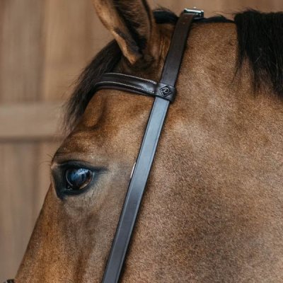 Dy'on Working Collection Training Bridle - Image 8