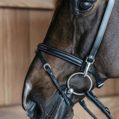 Dy'on Working Collection Training Bridle - Image 3