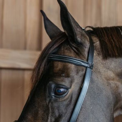 Dy'on Working Collection Training Bridle - Image 4