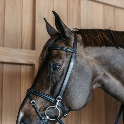 Dy'on Working Collection Training Bridle - Image 5