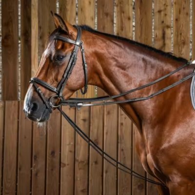 Dy'on Working Collection Full Leather Draw Reins 1/2" - Image 2