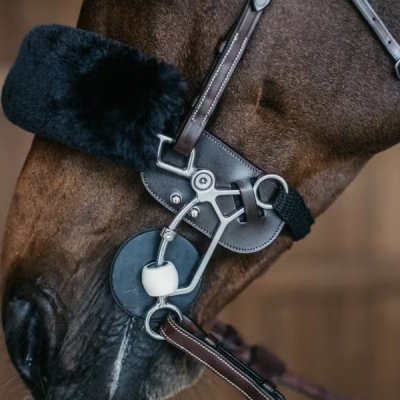 Dy'on Working Collection Hackamore Protection - Image 3