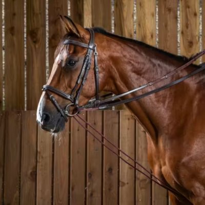 Dy'on Working Collection Leather/Nylon Draw Reins 5/8" - Image 2