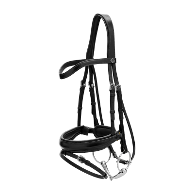 Dy'on Working Collection Matte Large Crank Noseband Bridle With Flash