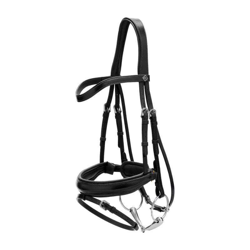 Dy'on Working Collection Matte Large Crank Noseband Bridle With Flash
