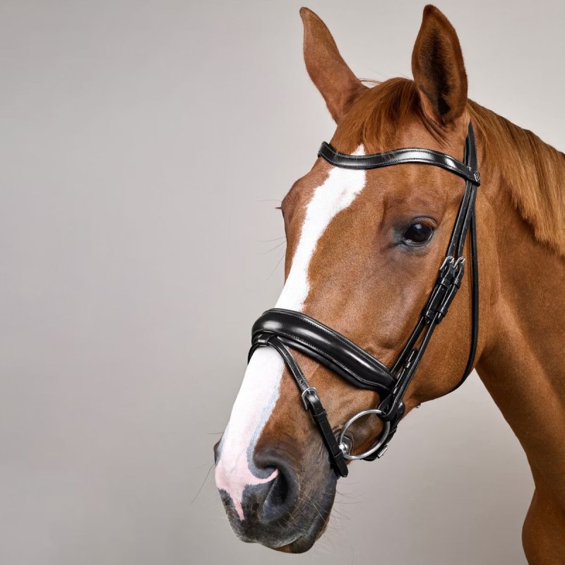 Dy'on Working Collection Matte Large Crank Noseband Bridle With Flash - Image 3