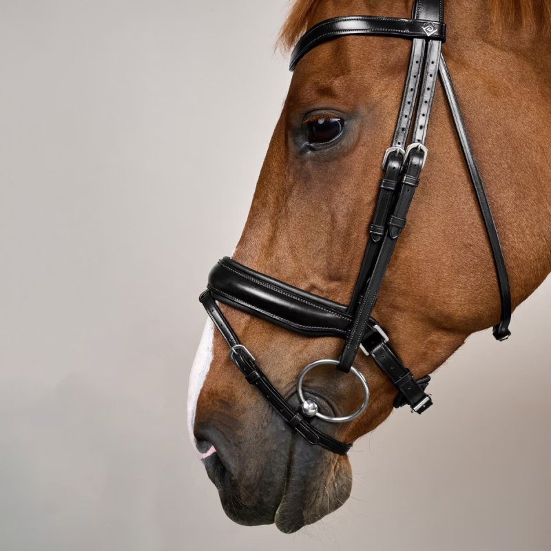 Dy'on Working Collection Matte Large Crank Noseband Bridle With Flash - Image 4