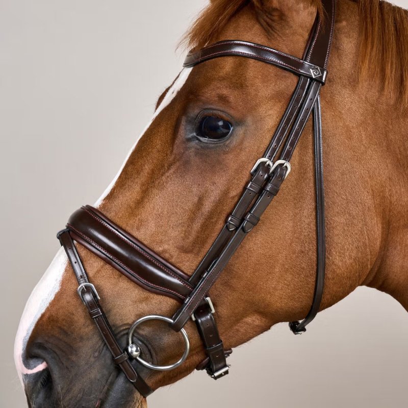 Dy'on Working Collection Matte Large Crank Noseband Bridle With Flash - Image 5