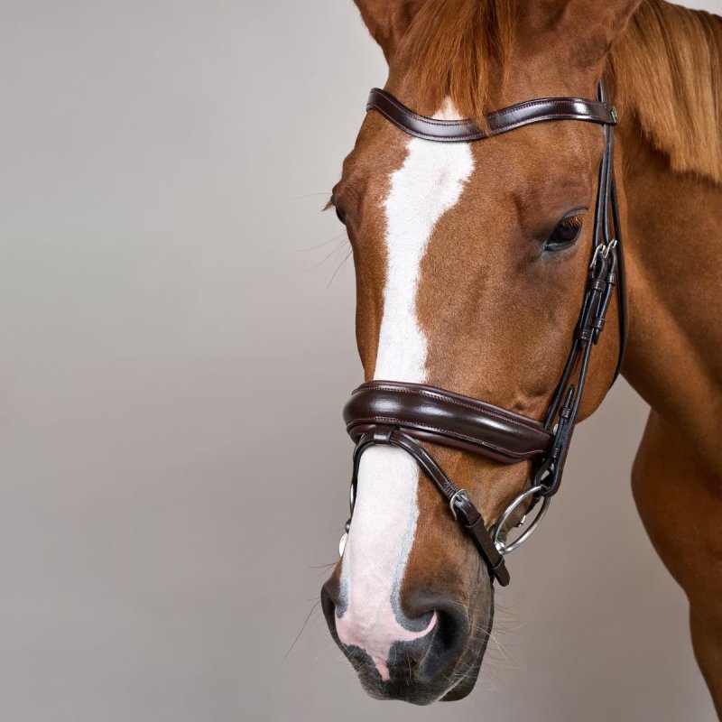 Dy'on Working Collection Matte Large Crank Noseband Bridle With Flash - Image 6