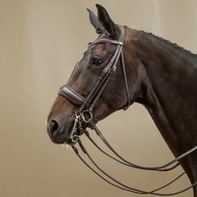 Dy'on Working Collection Matte Large Crank Noseband Double Bridle - Image 3