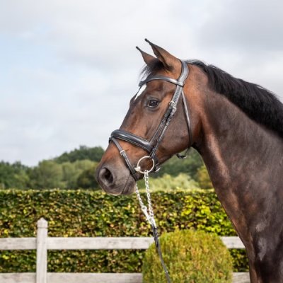 Dy'on Dressage Collection Flat Leather Matte Medium Noseband Bridle with Flash - Image 2