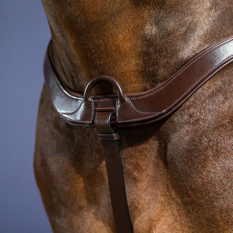 Dy'on New English Collection Anatomical Breastplate - Image 6