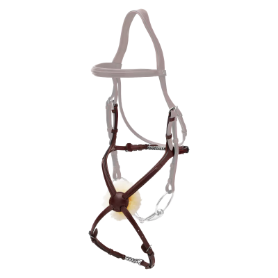 Dy'on New English Collection Figure 8 Noseband with Chain