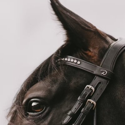 Dy'on Dressage Collection Round Leather Patent Large Crank Noseband Bridle with Flash - Image 2