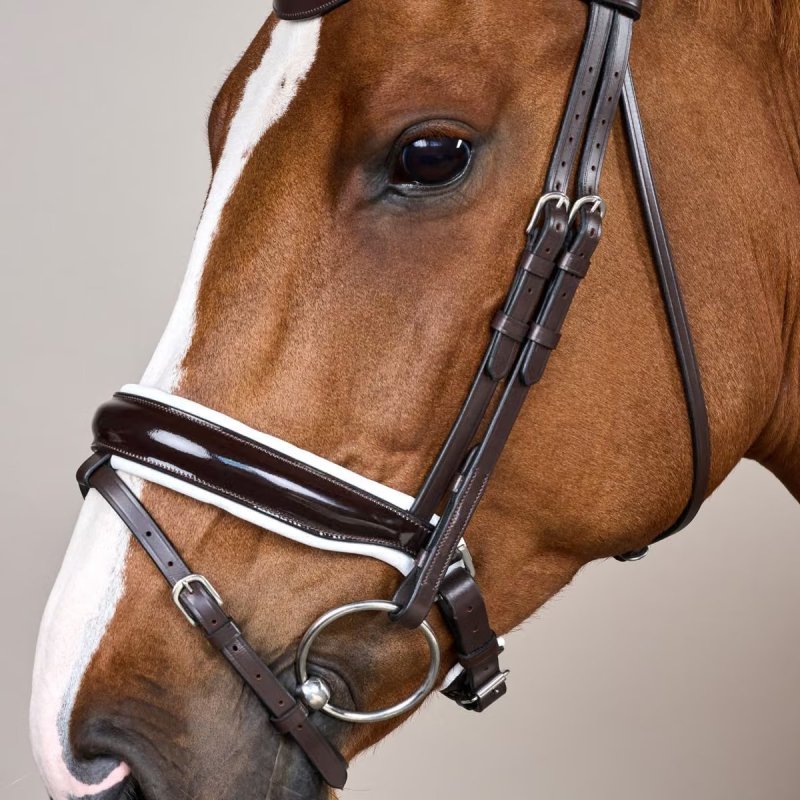 Dy'on Working Collection Patent Large Crank Noseband Bridle with White Padding and Flash - Image 4