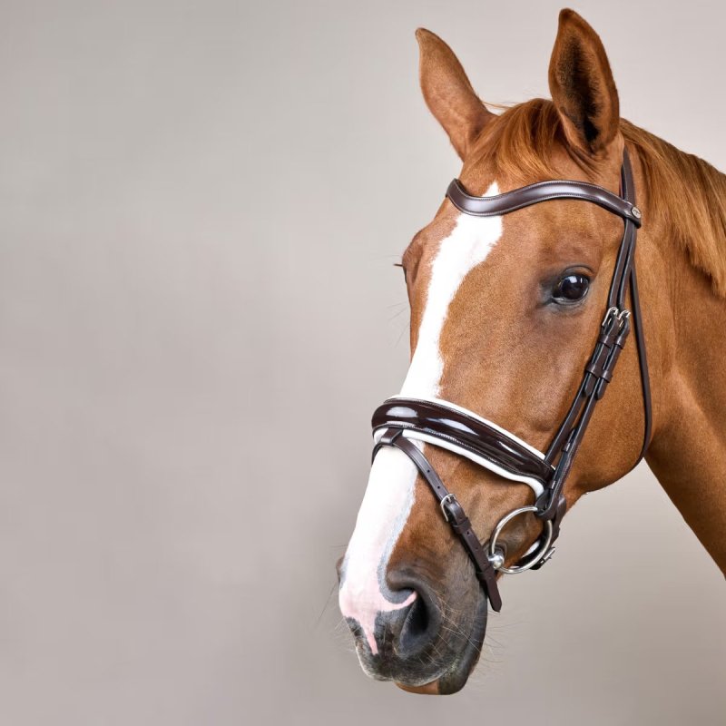 Dy'on Working Collection Patent Large Crank Noseband Bridle with White Padding and Flash - Image 5