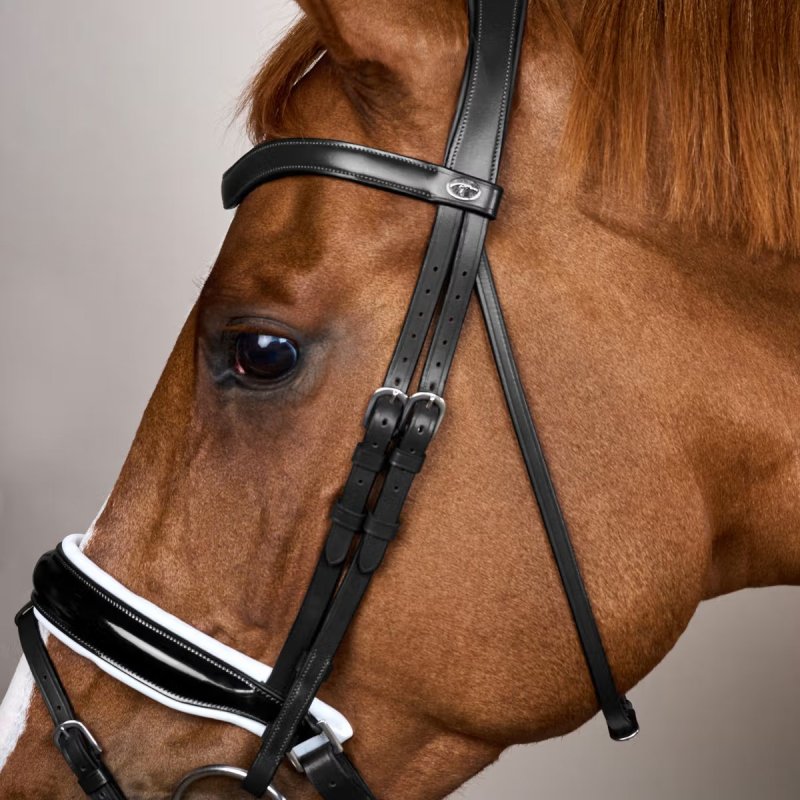Dy'on Working Collection Patent Large Crank Noseband Bridle with White Padding and Flash - Image 6