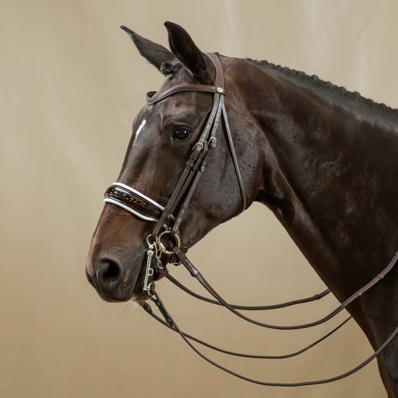 Dy'on Working Collection Patent Large Crank Noseband With White Padding Double Bridle - Image 3
