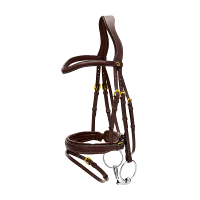 Dy'on D Collection Plaited Flash Noseband Bridle with Pull back