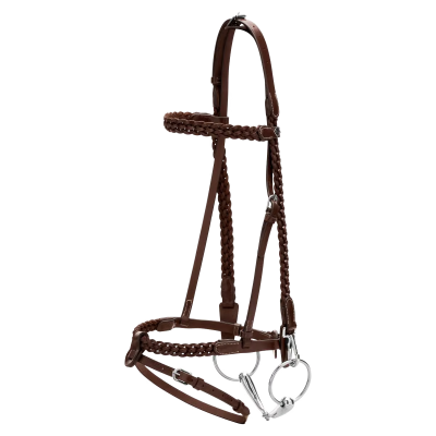Dy'on Working Collection Plaited Training Bridle