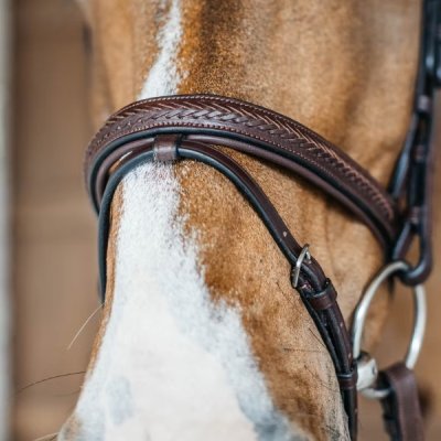Dy'on New English Collection Plaited Noseband - Image 2