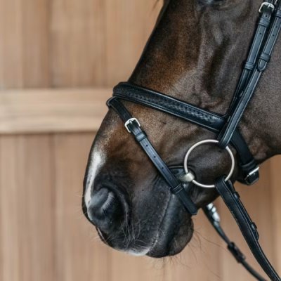 Dy'on New English Collection Plaited Noseband - Image 3
