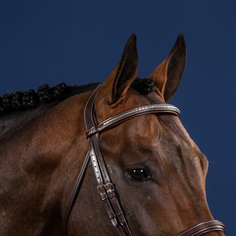 Dy'on US Collection Silver Clincher Straight Browband - Image 3