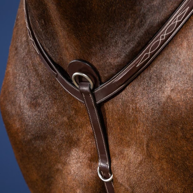 Dy'on US Collection Breastplate - Image 3