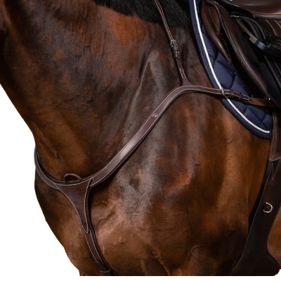 Dy'on US Collection Long Bridge Breastplate