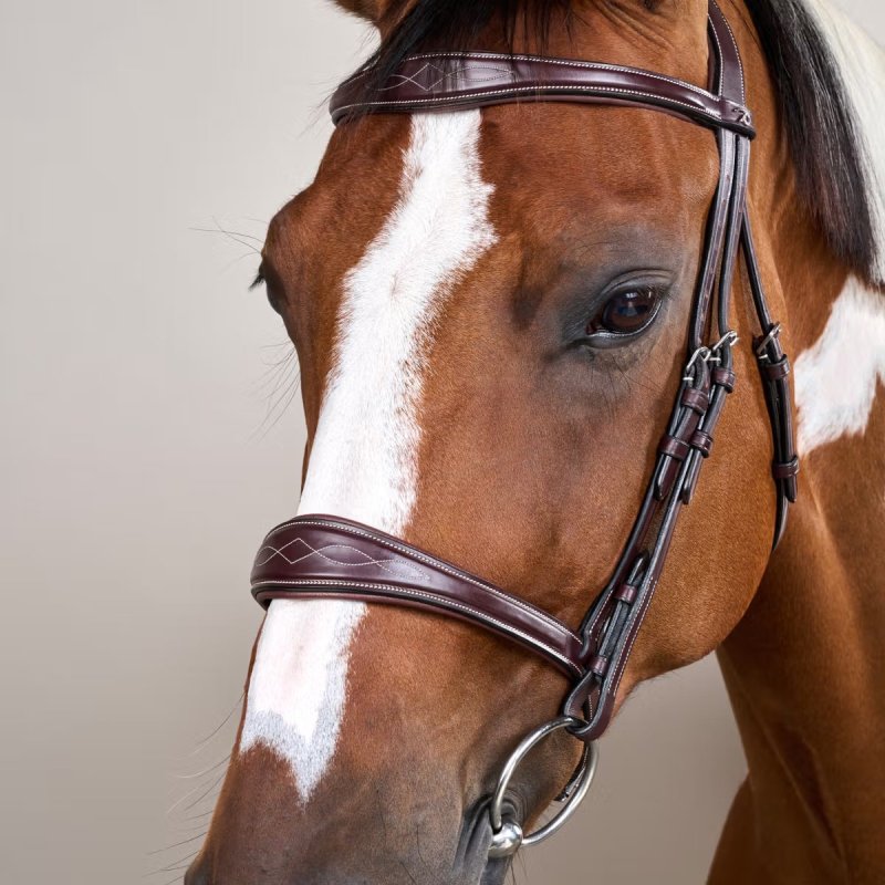 Dy'on US Collection Anatomic Noseband Without Flash - Image 3