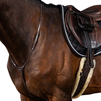 Dy'on US Collection Yoke